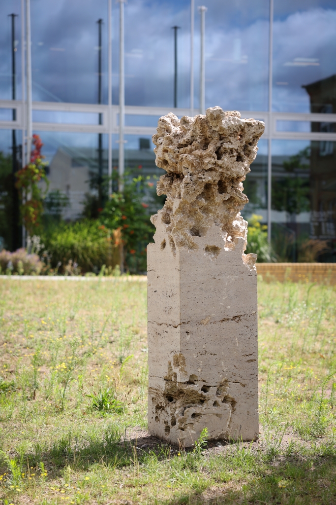 TERRA EXALTA, 2023, Foto: G. Markert